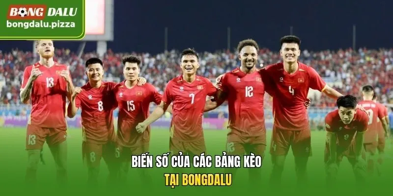 Biến số của các bảng kèo tại Bongdalu