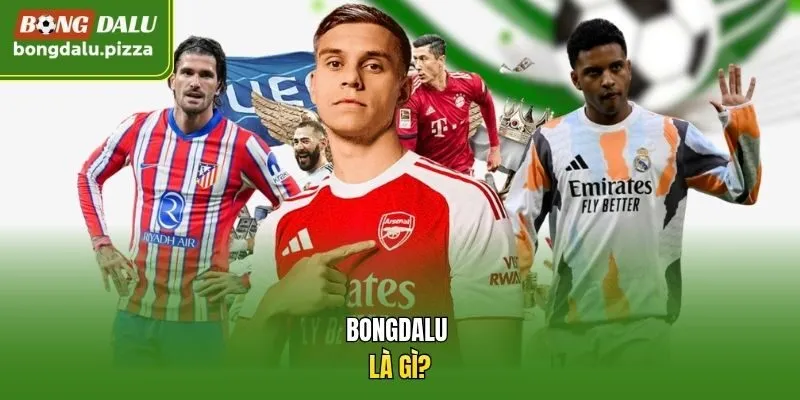 Bongdalu là gì?