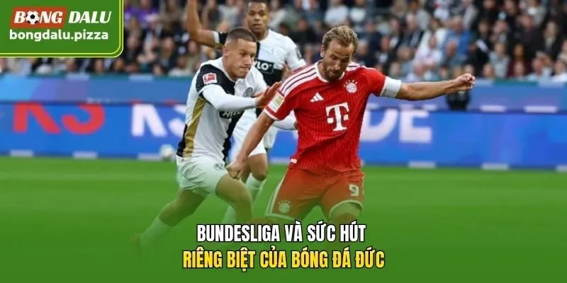 Bundesliga và sức hút riêng biệt của bóng đá Đức