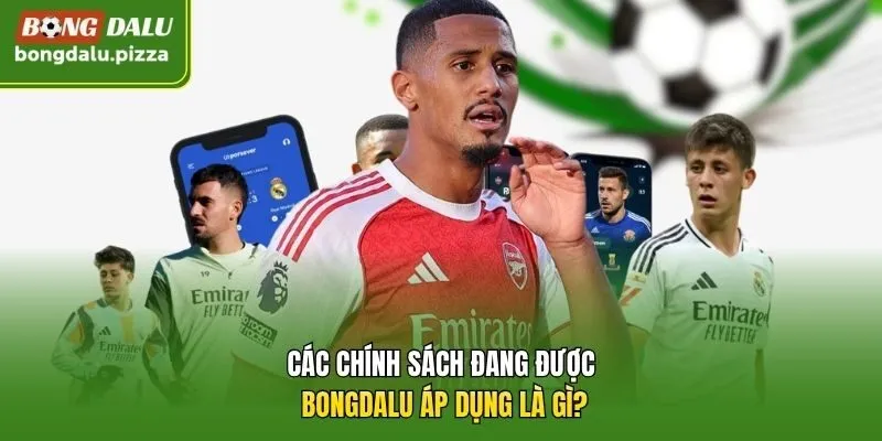 Các chính sách đang được Bongdalu áp dụng là gì?