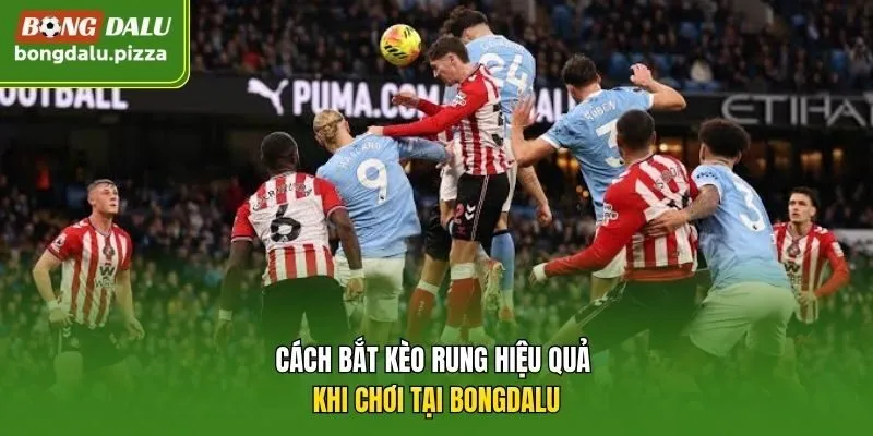 Cách bắt kèo rung hiệu quả khi chơi tại Bongdalu