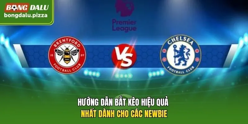 Hướng dẫn bắt kèo hiệu quả nhất dành cho các newbie