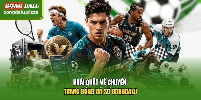 Khái quát về chuyên trang bóng đá số Bongdalu