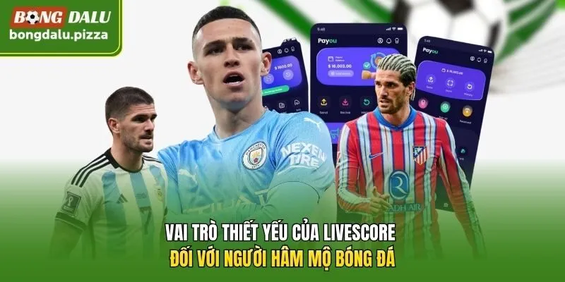 Vai trò thiết yếu của livescore đối với người hâm mộ bóng đá